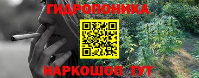 прущие грибы Тулун