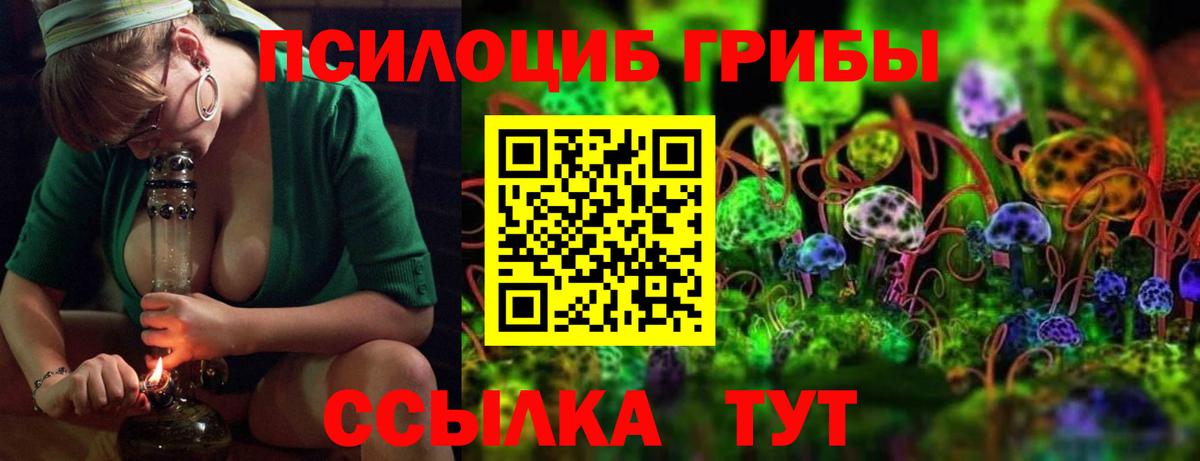 Бердск  Псилоцибиновые грибы мухоморы  Вход с VPN  дарнет шоп  Галлюциногенные грибы мухоморы 