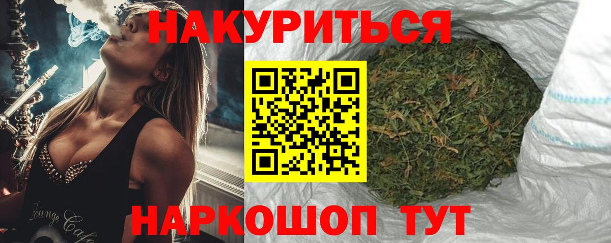Конопля гибрид Бердск